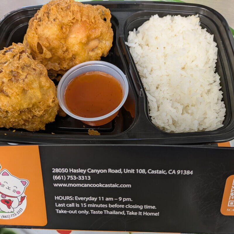 CRISPY CHICKEN PLATE